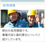 採用情報
